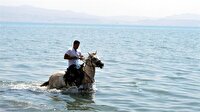 Van Gölü'ne atıyla girip çöp topladı