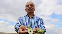 8 kilo ekti 2 ton ürün aldı