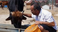 Haluk Levent ’Ferdinand’ ile buluştu