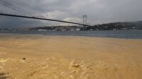Mavi boğaz çamura bulandı