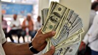 Dolar güne sakin başladı