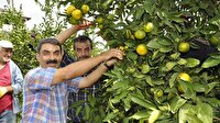 Dalında 75 kuruş markette 5 lira