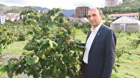 Fındığa yeni sistem önerisi