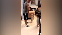 Dünyanın en sevimli kıskançlığını yapan köpek
