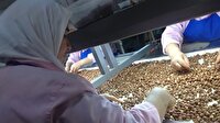 12 liraya alınıp 65 liranın üzerinde satılıyor