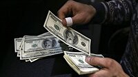 Kritik karar sonrası dolarda son durum