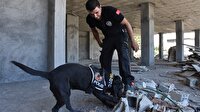 Suçluların korkulu rüyası oldu