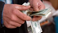Dolar haftaya düşüşle başladı