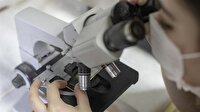 Yabancı bilim insanları Türkiye'de
