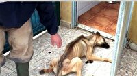 Duygulandıran değişim