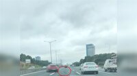 TEM'de zincirleme kazaya sebep olan kedi