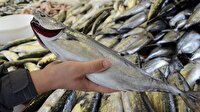 Stokçuluk palamuta da sıçradı: Fiyatı 5 liraya kadar inebilir