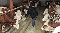 Hayvancılık desteklerinde değişiklik