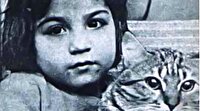 Sahibini mahkemede ceza almaktan kurtaran kedi