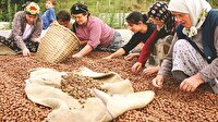 Spekülatöre karşı bakanlık ayarı