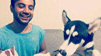 Köpeğine suni teneffüs yapan doktor ölümden döndü