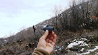 103 şehidin katili 18 PKK'lı teröristi eşek arısı öldürdü