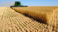 'Buğday ekim alanı 7,5 milyon hektara düştü'