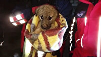 Kuyuda yaşam mücadelesi veren köpeğin kurtarılma anı