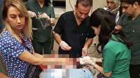 Doktora darp: Önünü kesip beyzbol sopalarıyla vurdular