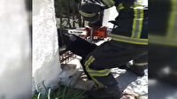 Bahçe kapısına sıkışan Zeytin'i itfaiye kurtardı