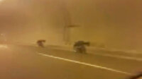 Yatarak yarış yapan motosikletliler korkuttu
