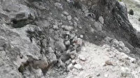 Kaçak kazı yapan kişiler suçüstü yakalandı