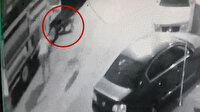 2 pitbullun saldırısına uğrayan küçük kızı mahalleli kurtardı