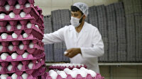 İran, yumurta ve tavuk ihracatı yasağını kaldırdı