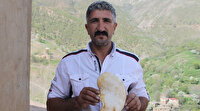Kilosu etten pahalı mantar