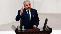 Meclis Başkanı Şentop'tan İzlanda'ya tepki