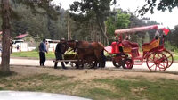 Abant'ta ata yapılan eziyet kamerada