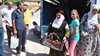 Kilosu 1 liradan satılan domatesten kasa kasa aldılar