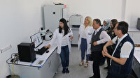 Ormanlar böceklerle koruma altında