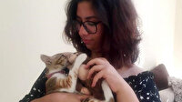 Yavru kedi annesi sandığı oyuncak maymunu emiyor