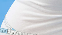 Açlık hormonu eylemsel hafızayı artırıyor