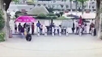 Hayvanat bahçesinden kaçan şempanze insanlara saldırdı