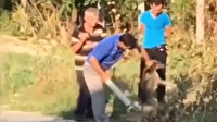 Küçük köpeği yakalayıp sopayla dövdüler!