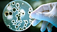 Antibiyotiğe dirençli bakteri Avrupa hastanelerinde yayılıyor