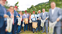 Fındık fiyatı borsayla artar