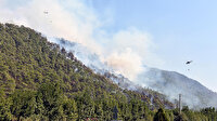 Marmaris'te 5 hektar kızılçam ormanı yandı