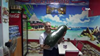 21 kiloluk dev salatalık yetiştirdi