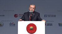 Cumhurbaşkanı Erdoğan: Benim faize alerjim var