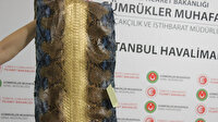 İstanbul Havalimanı'nda ele geçirildi: Değeri 320 bin lira