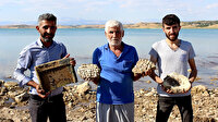 Baraj suları çekilince köylüler buldu: Görenleri şaşırtıyor