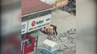 7 kişinin yaralandığı kavganın yeni görüntüleri ortaya çıktı