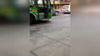 İntihara meyilli kedi görenleri şaşkına çevirdi
