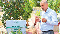 Hayalleri yarım kaldı