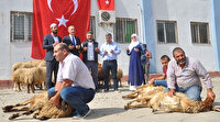 Mehmetçik ve vatan için sınırda 50 kurban kesildi
