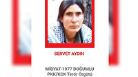 Kırmızı listeden 2 PKK’lı eksildi